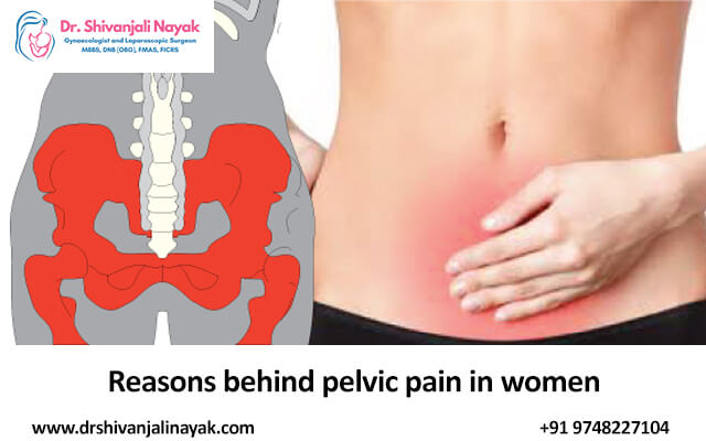 pelvic pain area