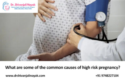 What are some of the common causes of high risk pregnancy?